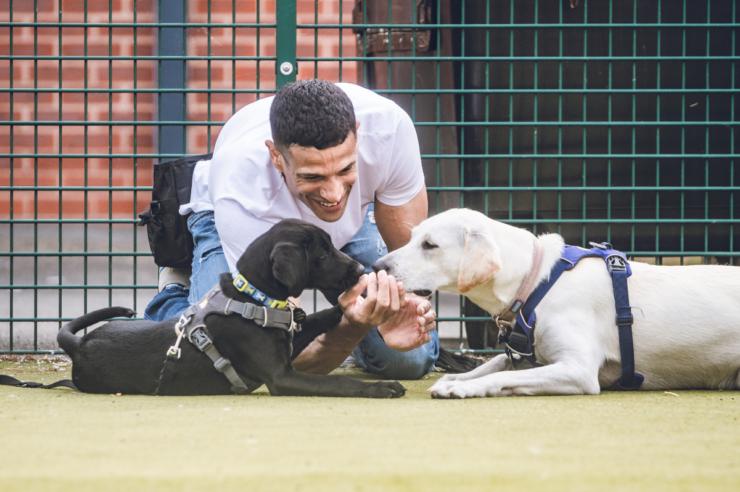 Image for How man’s best friend is helping rehabilitate inmates in England