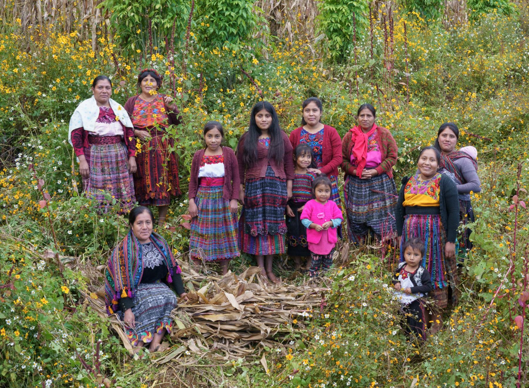 Image for Circles of hope: the Guatemalan women reviving Indigenous concepts of mental wellbeing
