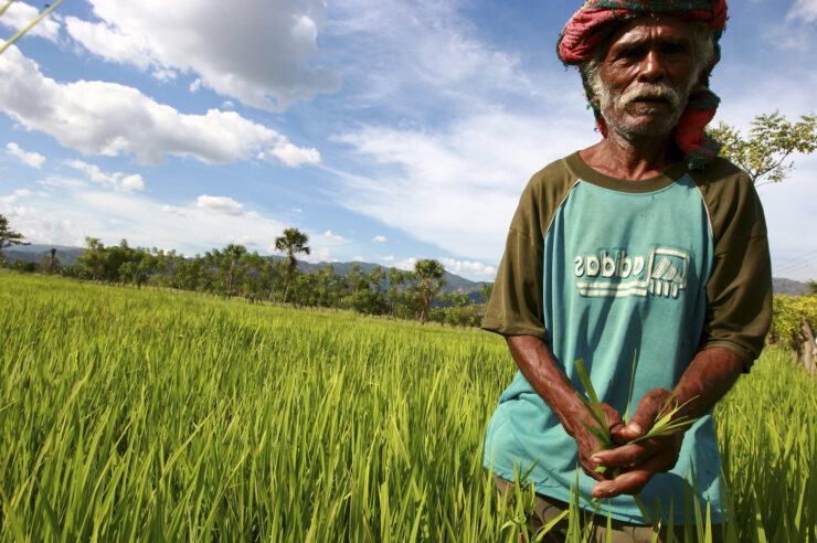 Image for UN sets ‘historic’ guidelines on land rights