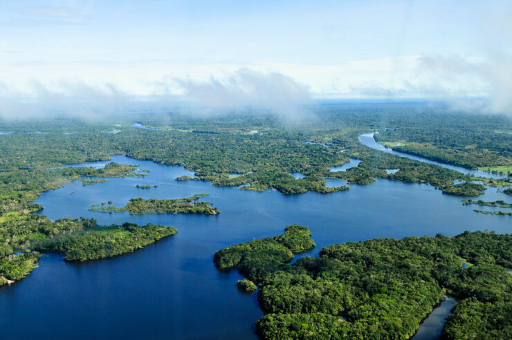 Image for How AI is helping to save the Amazon