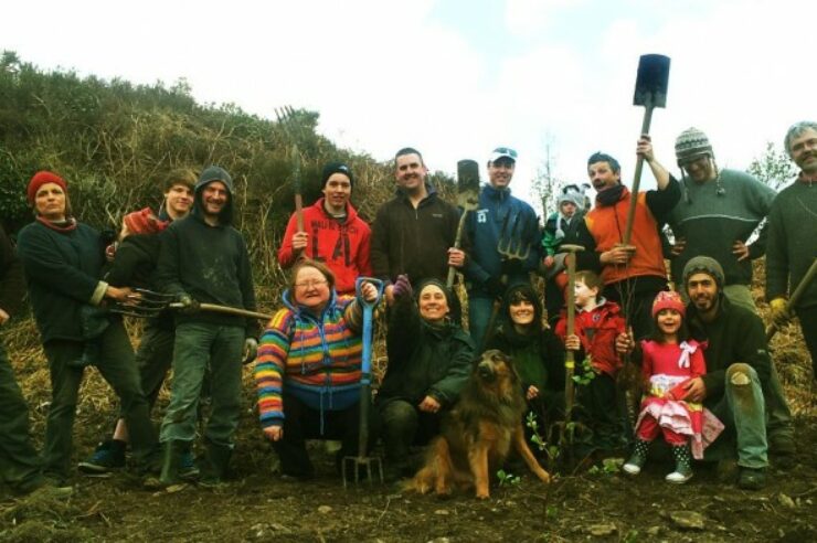 Image for Volunteers in Ireland to plant one million trees in one day