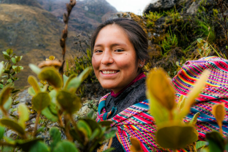 Image for The magical moss helping women in rural Peru to become entrepreneurs