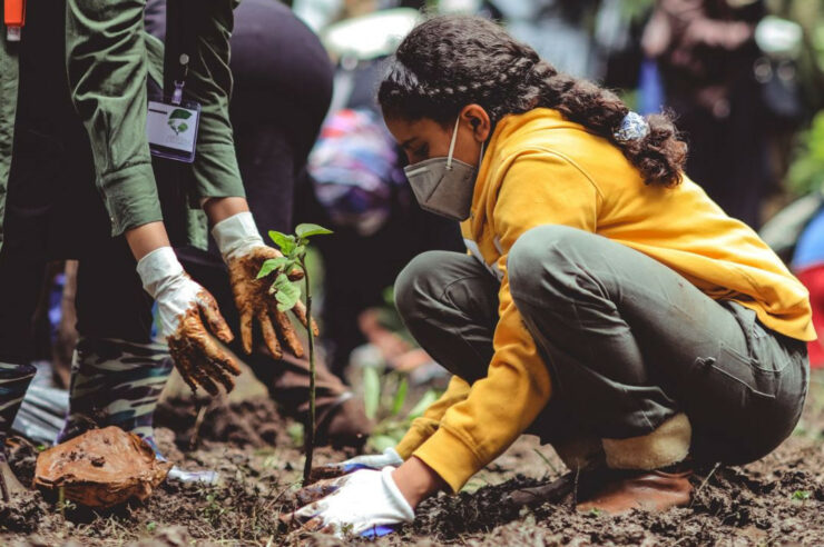 Image for How young people are tackling the climate crisis and five ways to help them