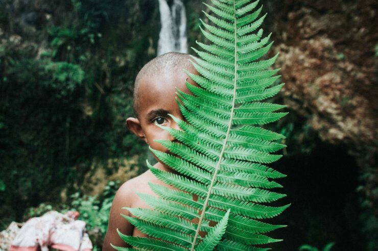 Image for How to save the rainforest: build a health centre