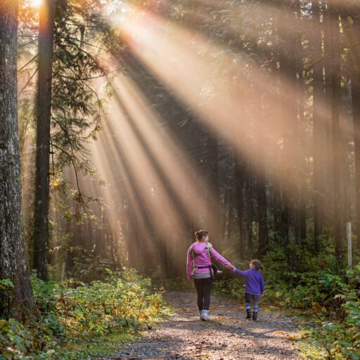 Walking in the woods can be good for your health