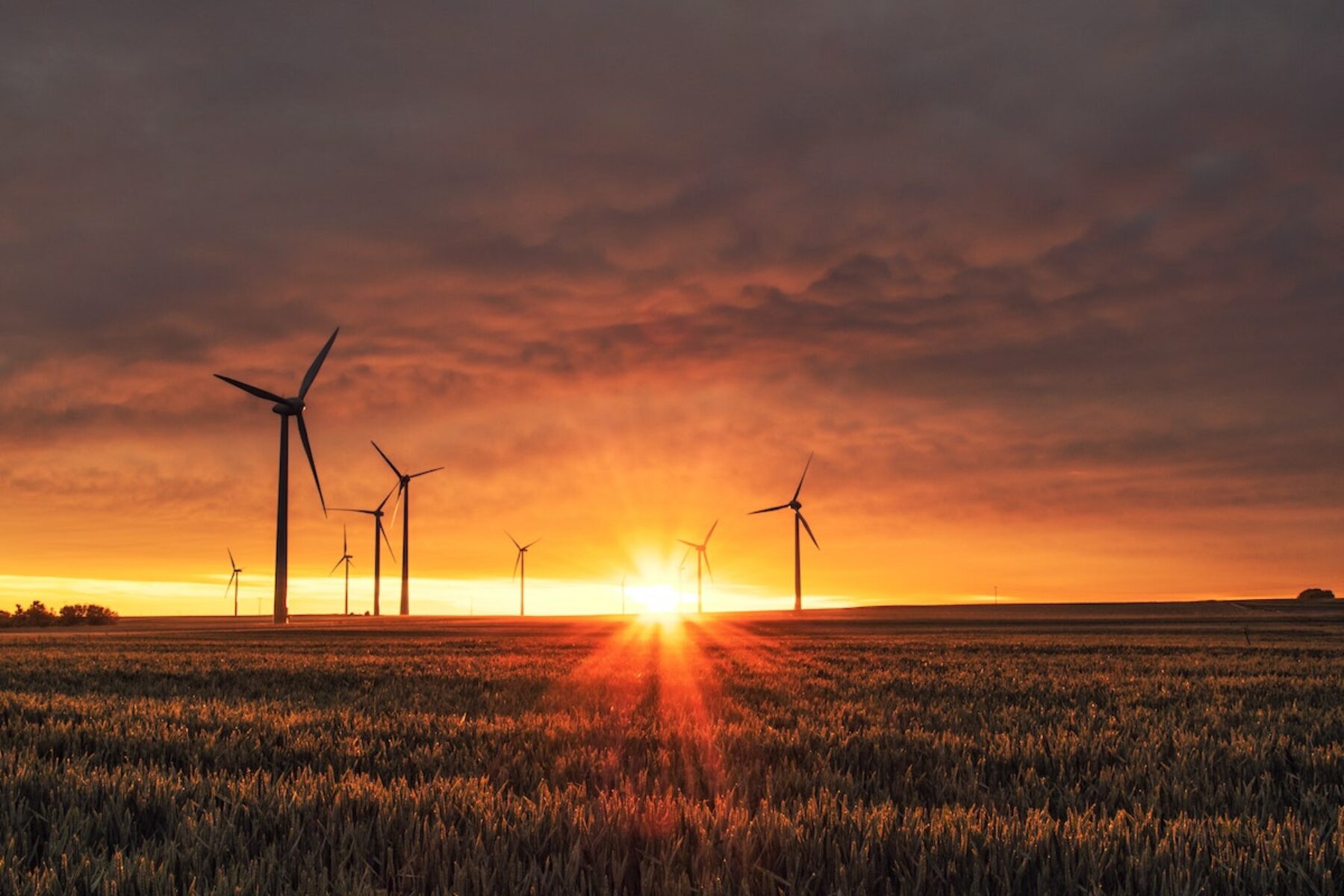 Image for Amid the climate gloom, surging renewables bring a ray of hope