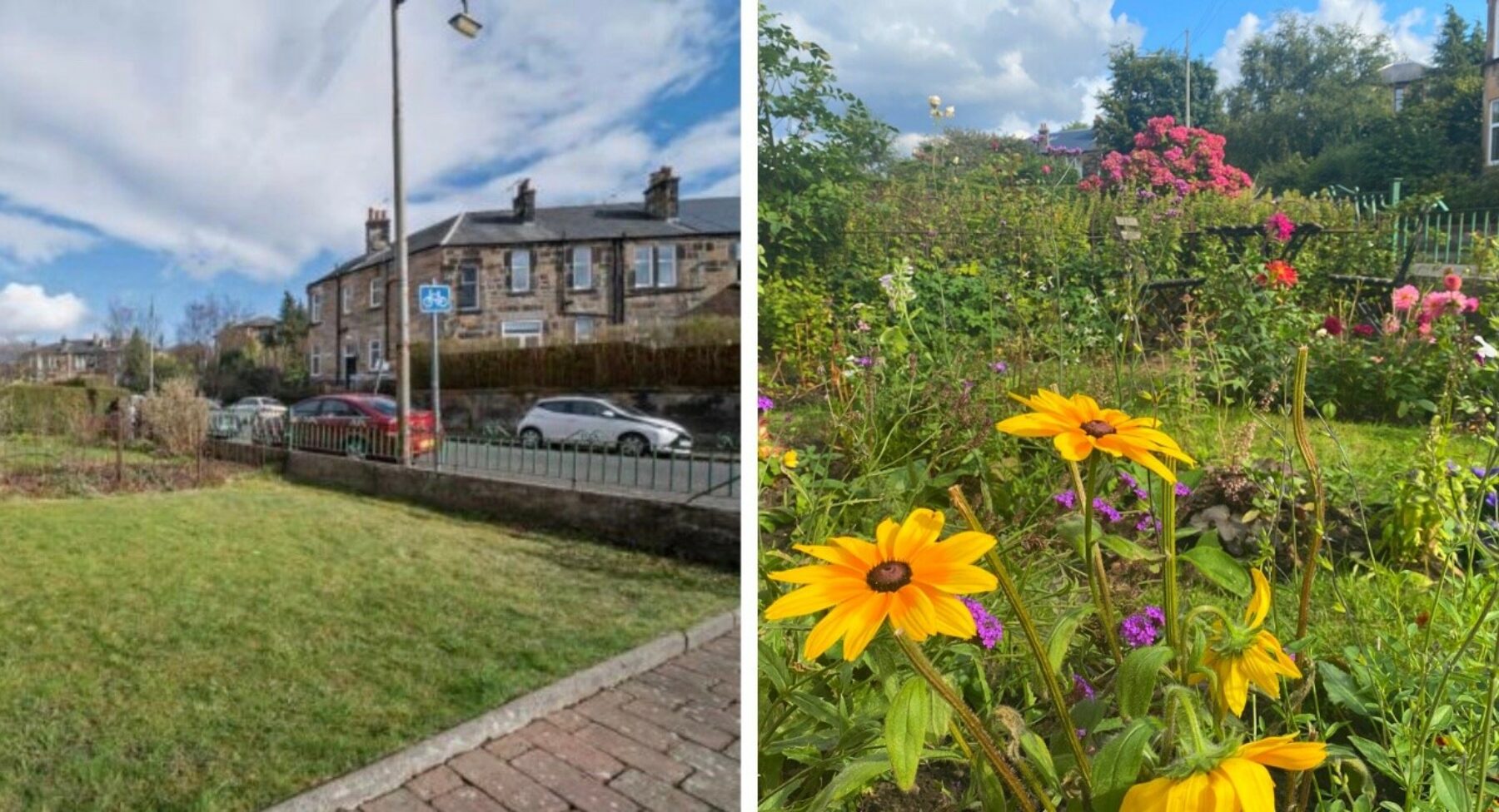 Image for Before and after: the rewilded front gardens of Positive News readers