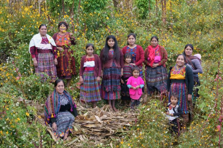 Image for Circles of hope: the Guatemalan women reviving Indigenous concepts of mental wellbeing