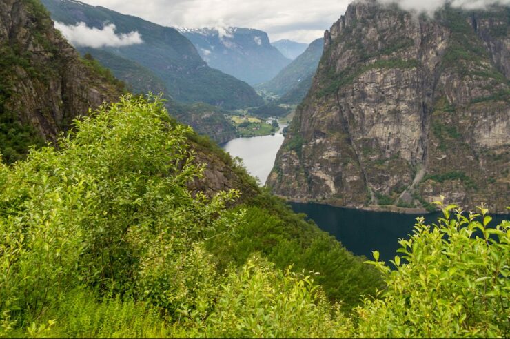 Image for Norway leads rainforest conservation efforts with supply chain pledge