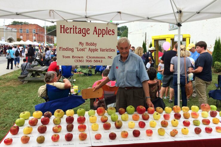 Image for ‘It’s a thrill to rediscover them’: meet the apple hunter who saves lost varieties